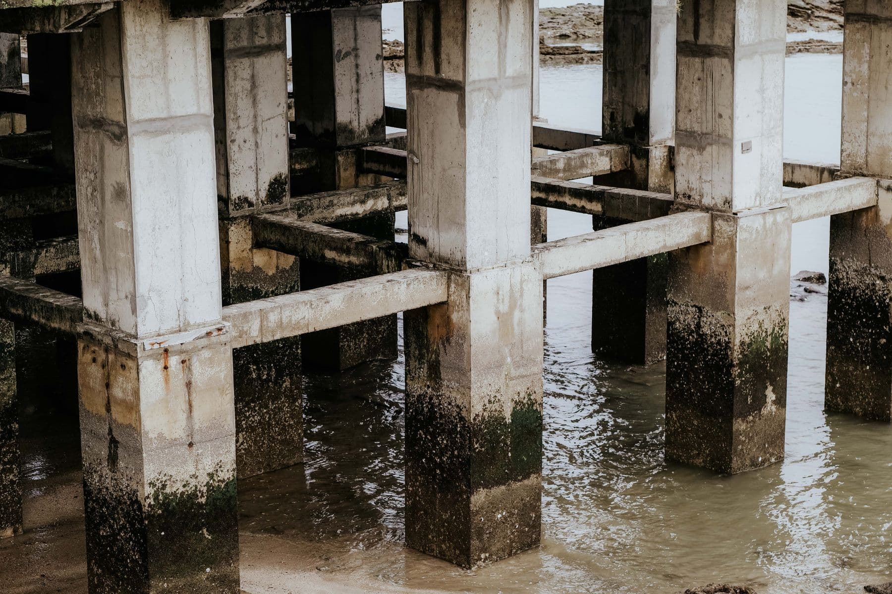 Stained concrete columns and beams standing in shallow tidal water under a coastal structure.